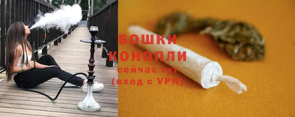 прущий лед Абаза