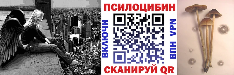 мориарти как зайти  Сольцы  Галлюциногенные грибы Psilocybe  купить  сайты 